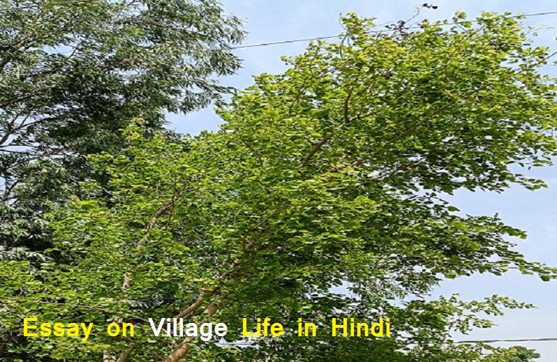 village life essay